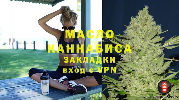 дживик Надым