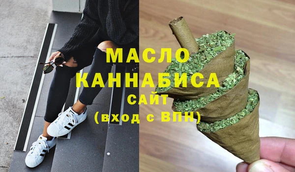 дживик Надым