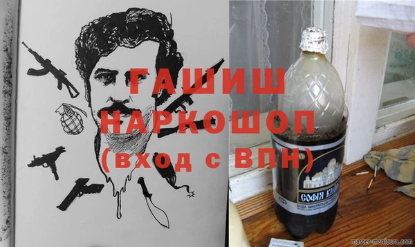 дживик Надым