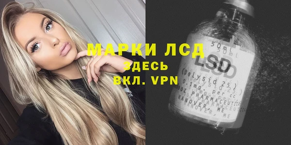 дживик Надым