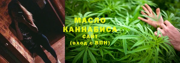 дживик Надым